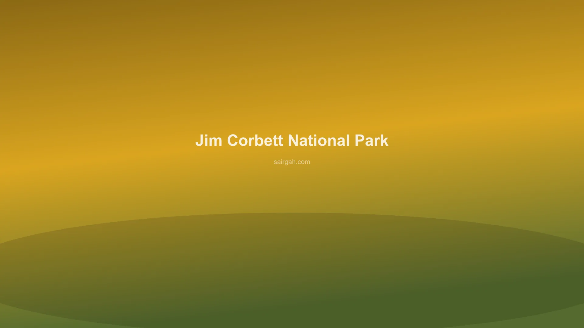 Tourists on a jeep safari inside Jim Corbett National Park during Sairgah Wildlife Safari Tour