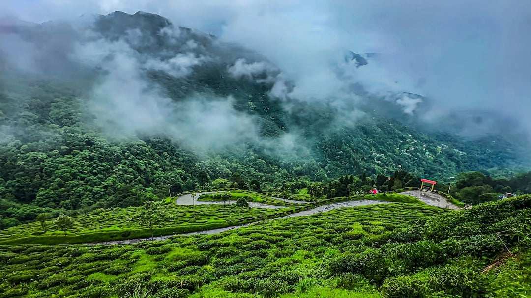 Outstation cab service in North India — Sairgah verified drivers